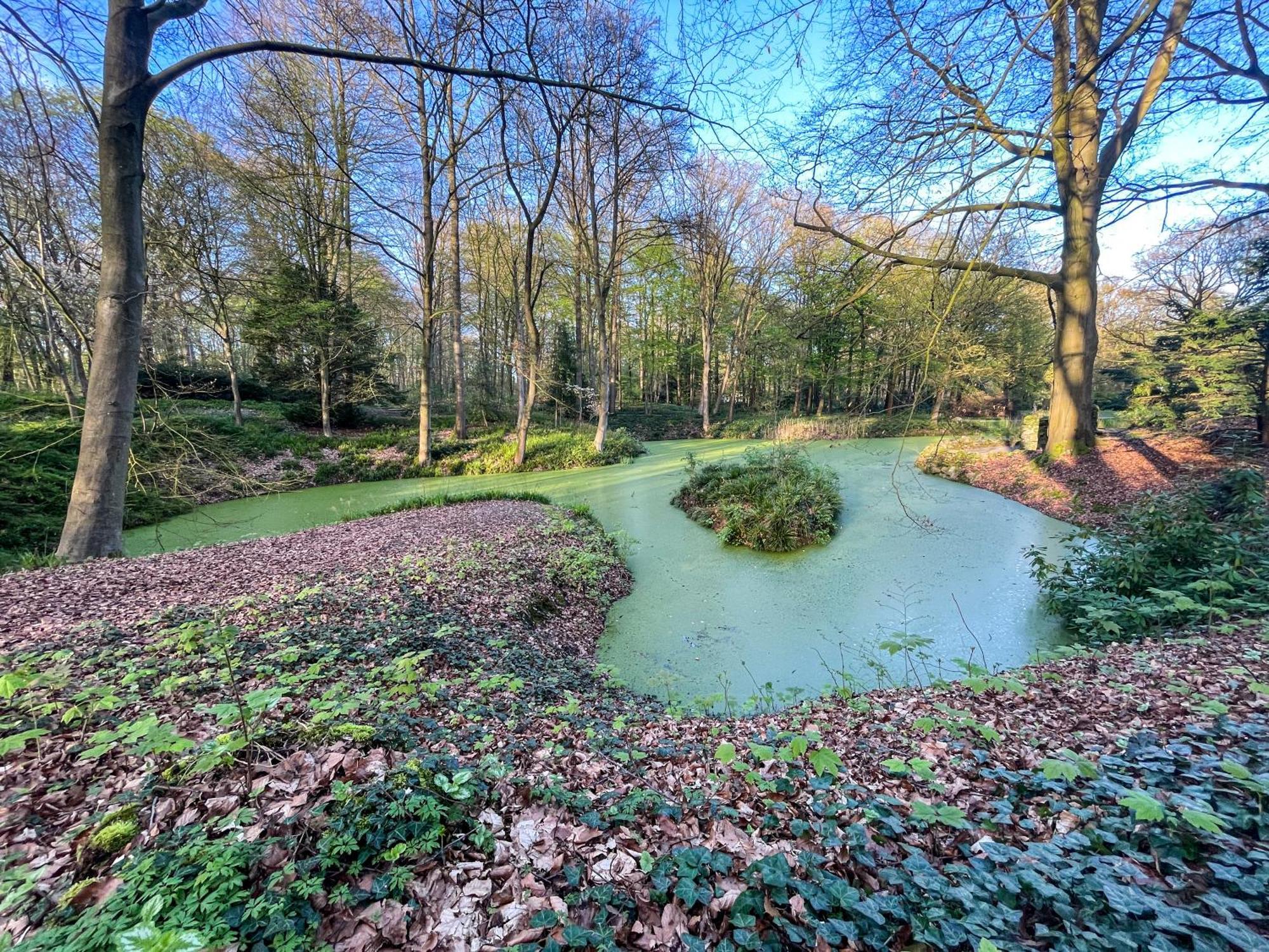 Landhaus Beim Knoops Park Bremen Exterior photo